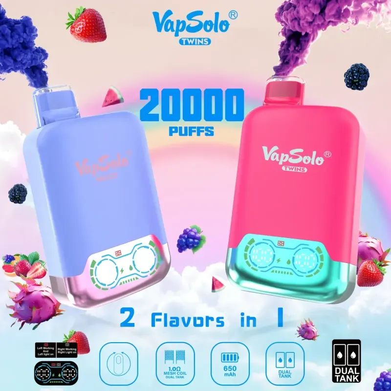 Revizuirea definitivă VapSolo Twins 20000: o putere cu două arome?